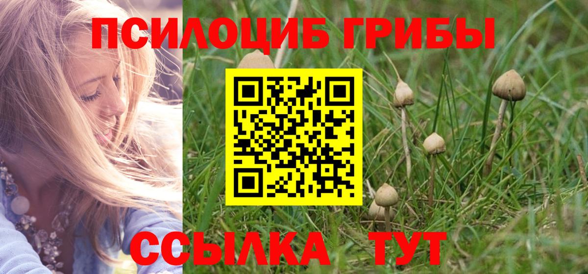 Галлюциногенные грибы прущие грибы  Вход с VPN  Малоярославец  Галлюциногенные грибы Cubensis 